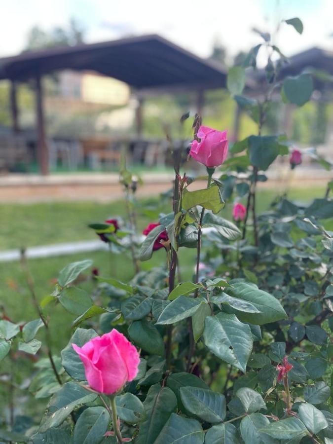 アスコリ・ピチェーノ La Collina Su Ascoli Bed & Breakfast エクステリア 写真