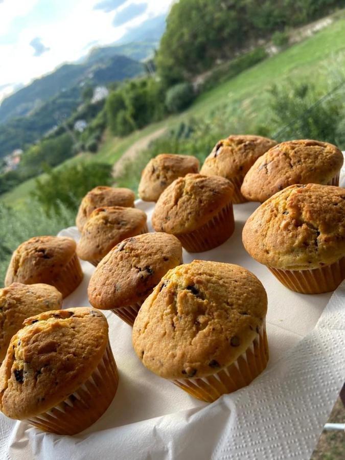 アスコリ・ピチェーノ La Collina Su Ascoli Bed & Breakfast エクステリア 写真